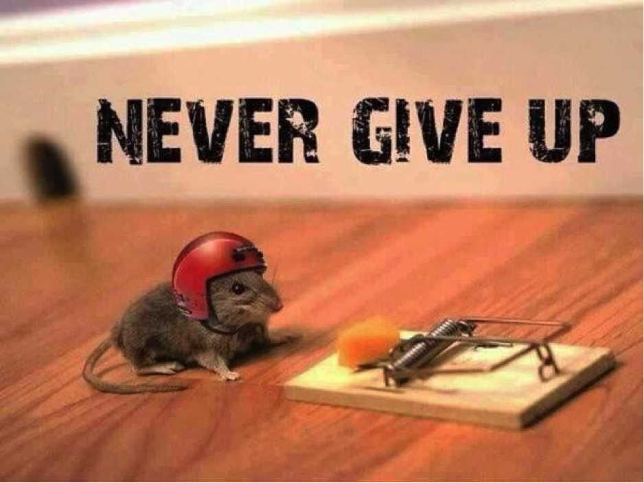 never give up